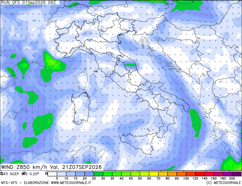 mappa 850 hPa Vento forza e direzione