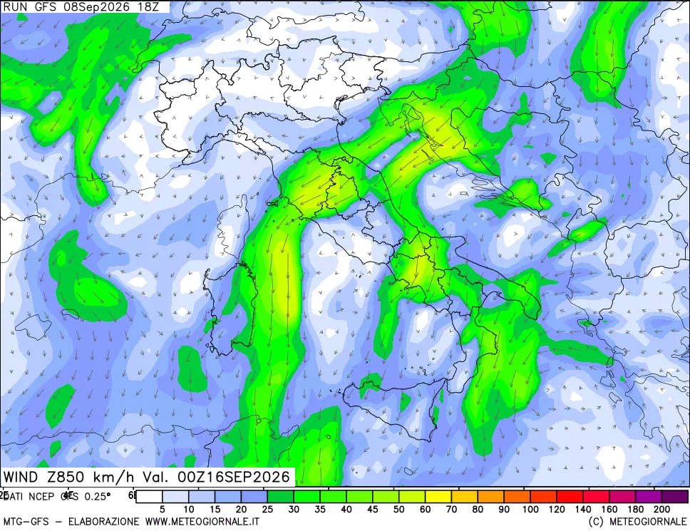 mappa 850 hPa Vento forza e direzione