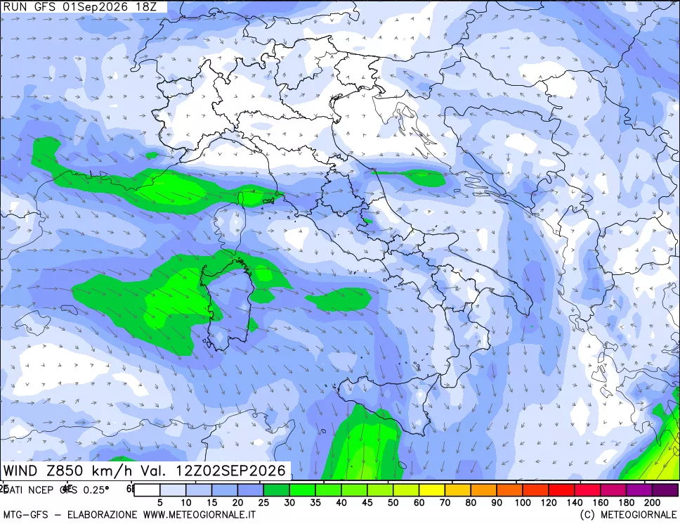 mappa 850 hPa Vento forza e direzione