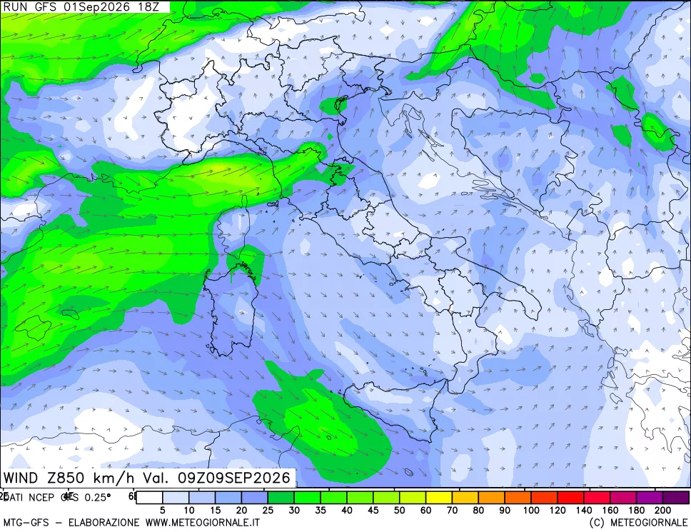 mappa 850 hPa Vento forza e direzione