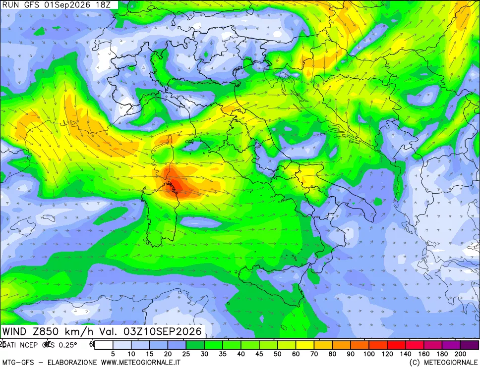 mappa 850 hPa Vento forza e direzione
