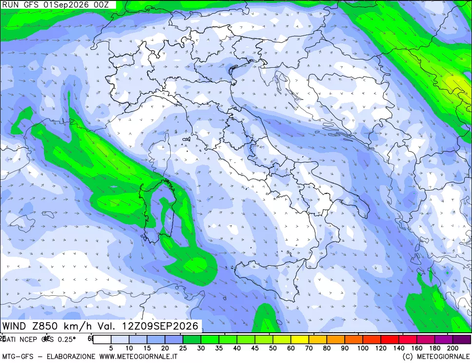 mappa 850 hPa Vento forza e direzione