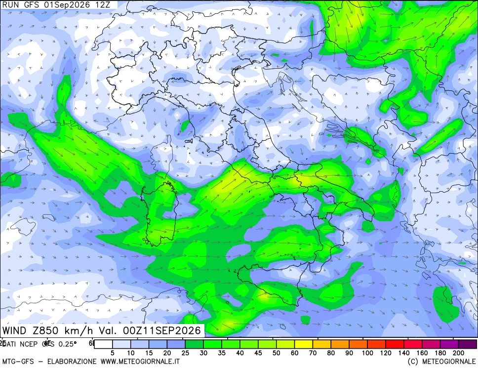 mappa 850 hPa Vento forza e direzione