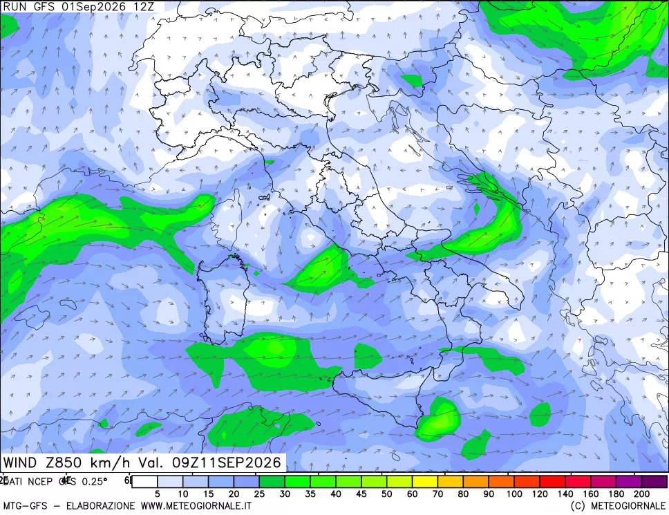 mappa 850 hPa Vento forza e direzione