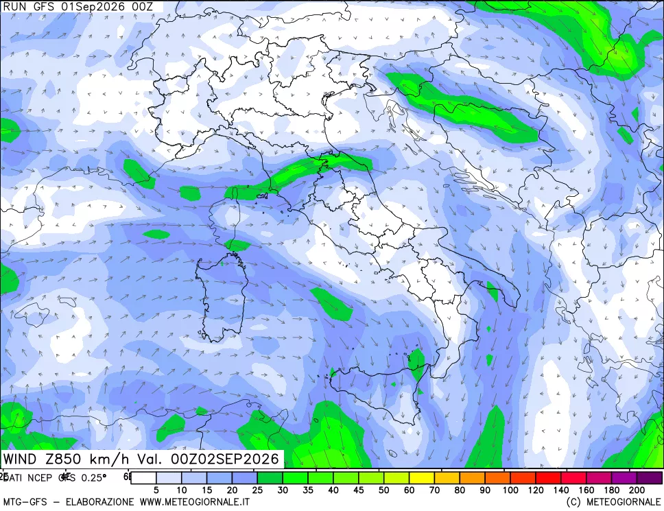 mappa 850 hPa Vento forza e direzione