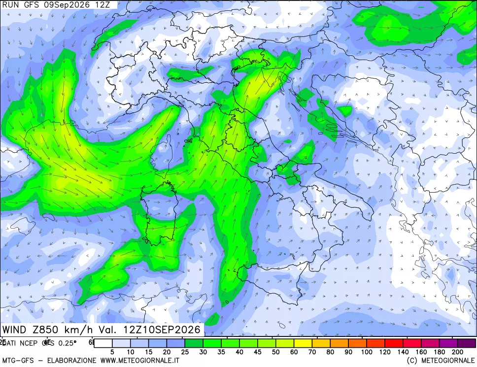 mappa 850 hPa Vento forza e direzione