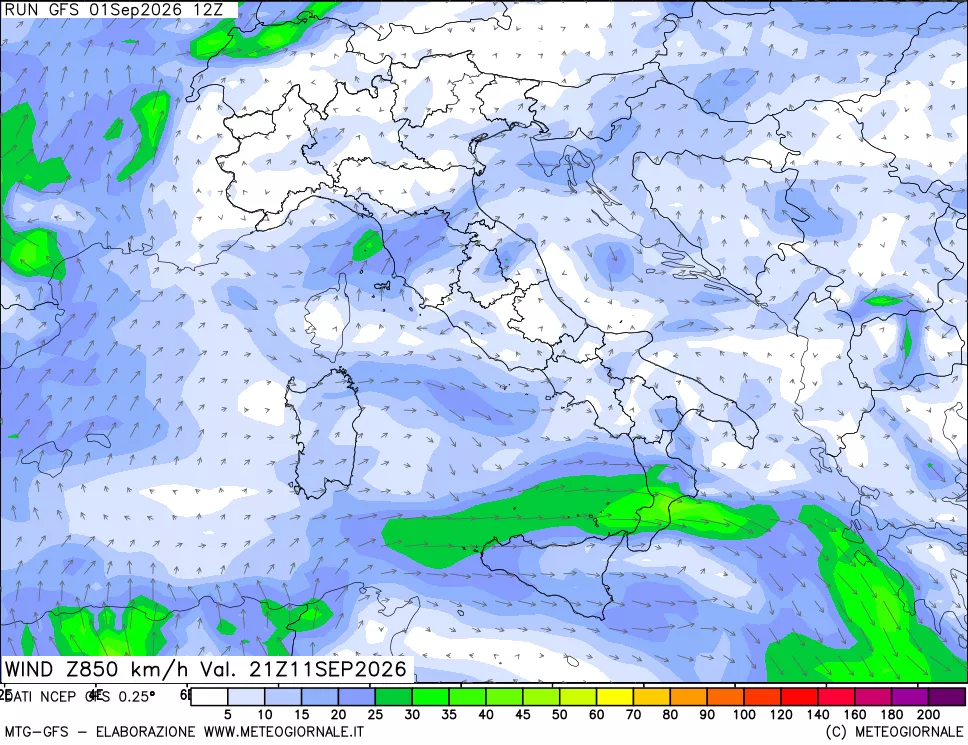 mappa 850 hPa Vento forza e direzione