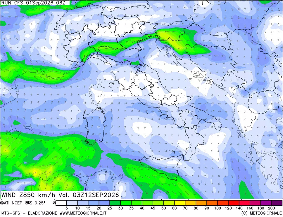 mappa 850 hPa Vento forza e direzione