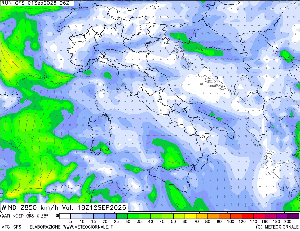 mappa 850 hPa Vento forza e direzione