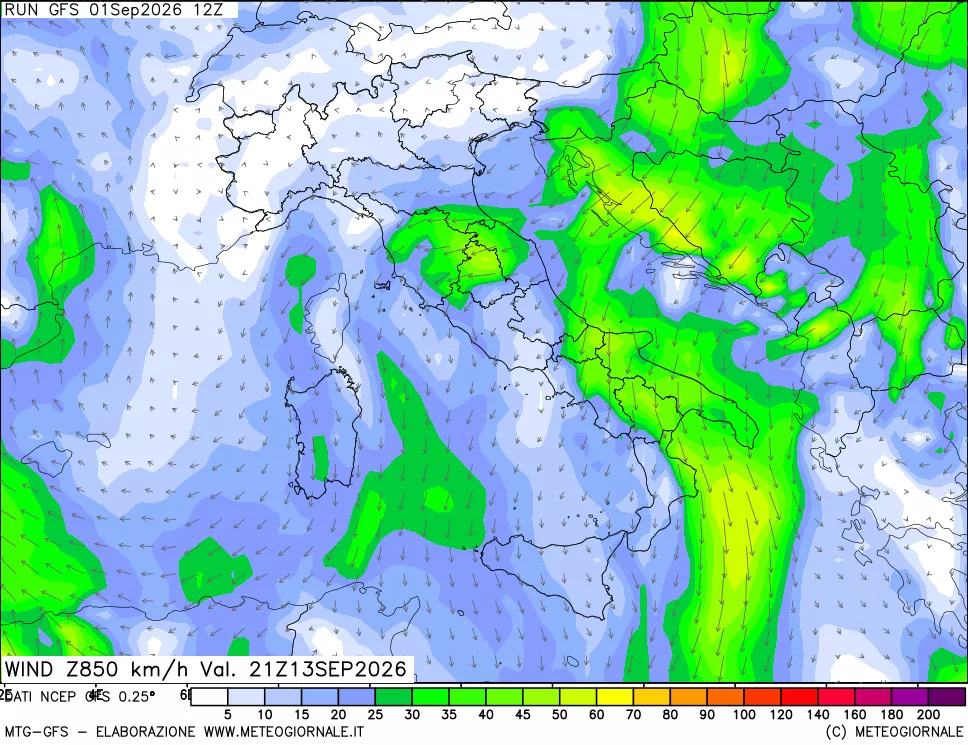 mappa 850 hPa Vento forza e direzione
