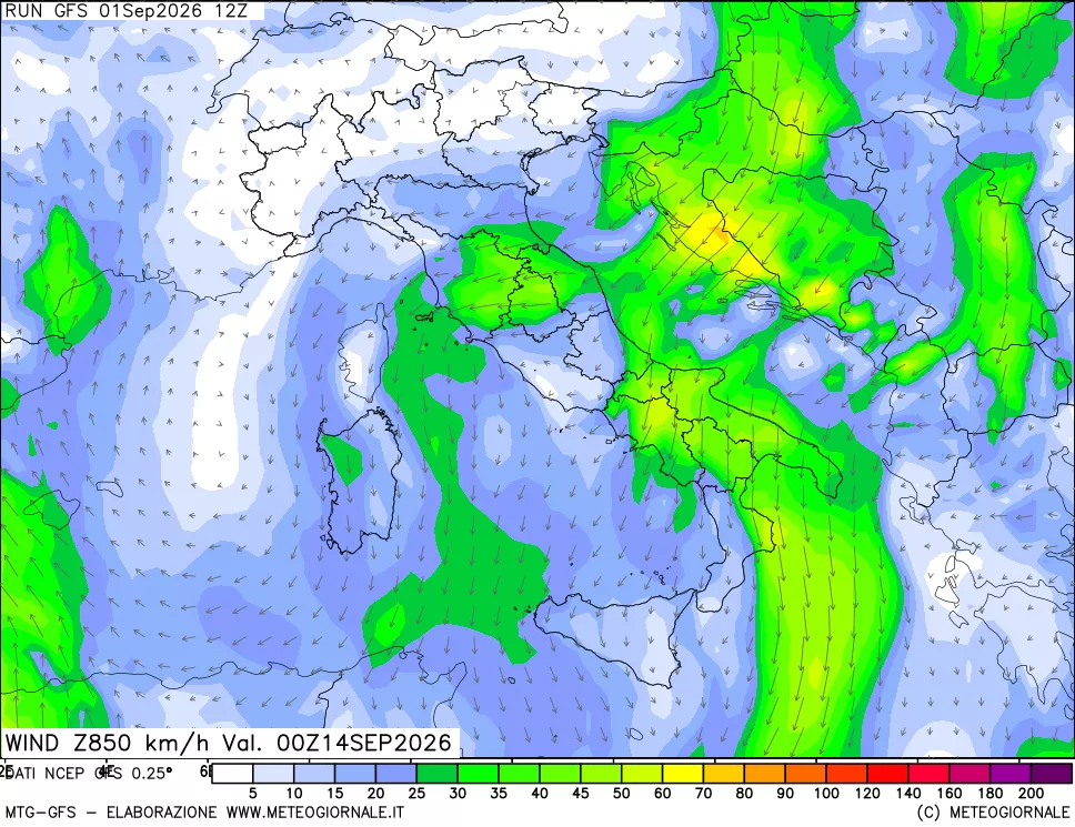 mappa 850 hPa Vento forza e direzione
