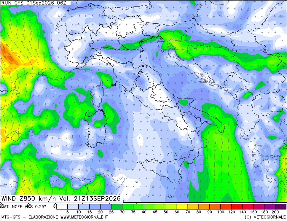 mappa 850 hPa Vento forza e direzione