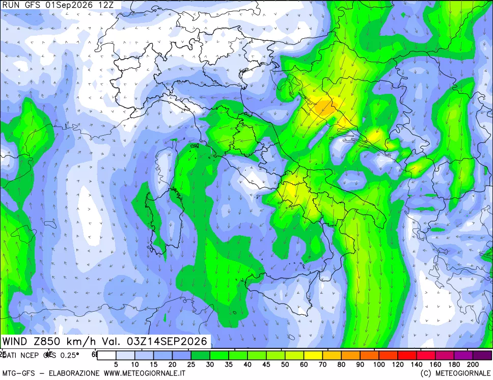 mappa 850 hPa Vento forza e direzione
