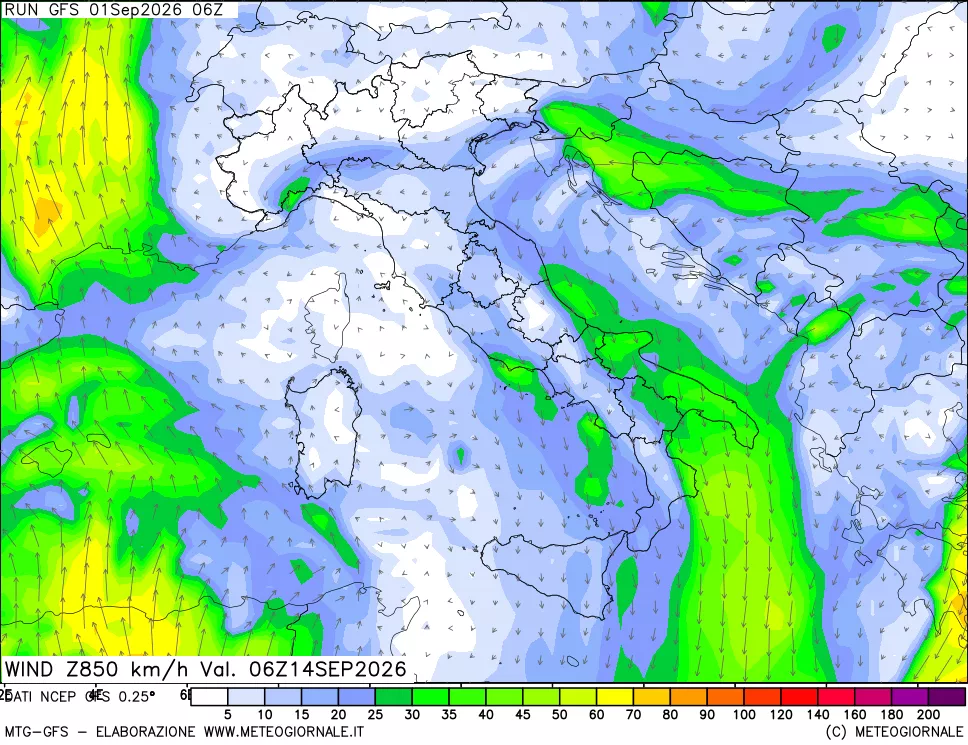 mappa 850 hPa Vento forza e direzione