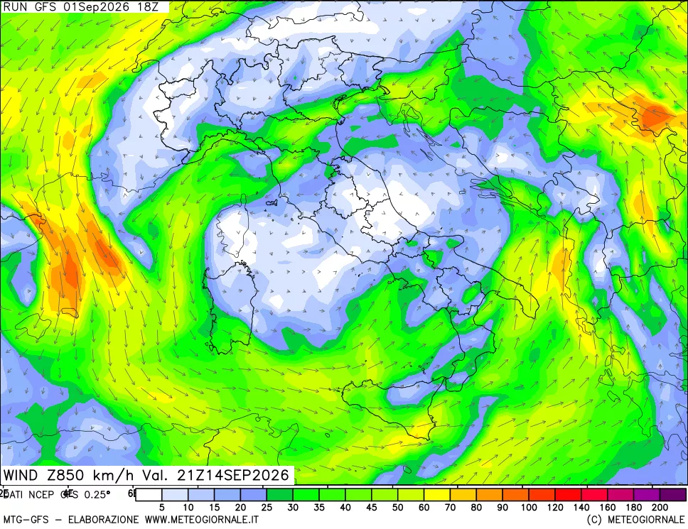 mappa 850 hPa Vento forza e direzione