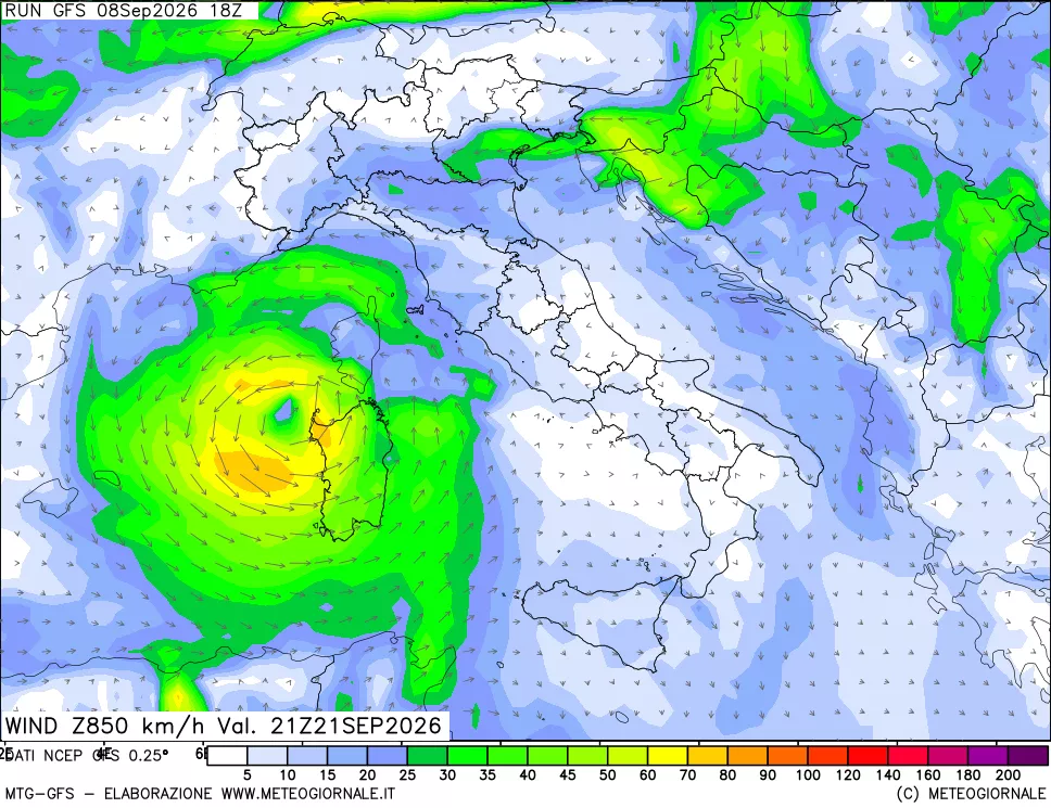mappa 850 hPa Vento forza e direzione