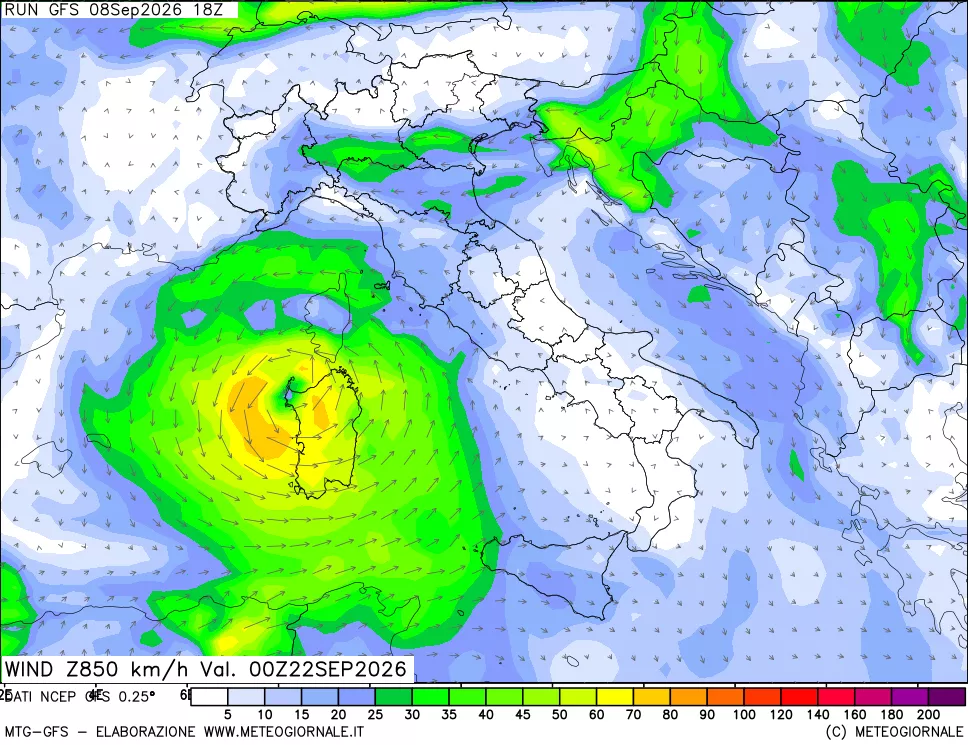 mappa 850 hPa Vento forza e direzione