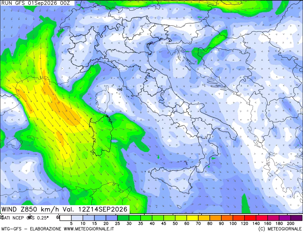 mappa 850 hPa Vento forza e direzione