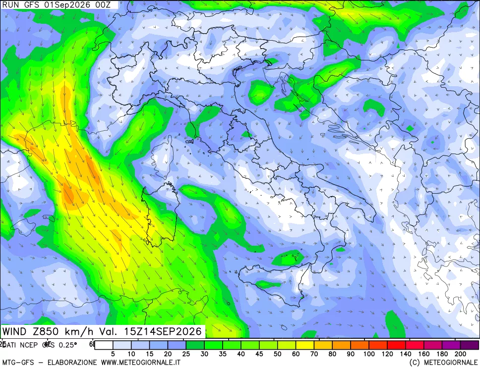 mappa 850 hPa Vento forza e direzione
