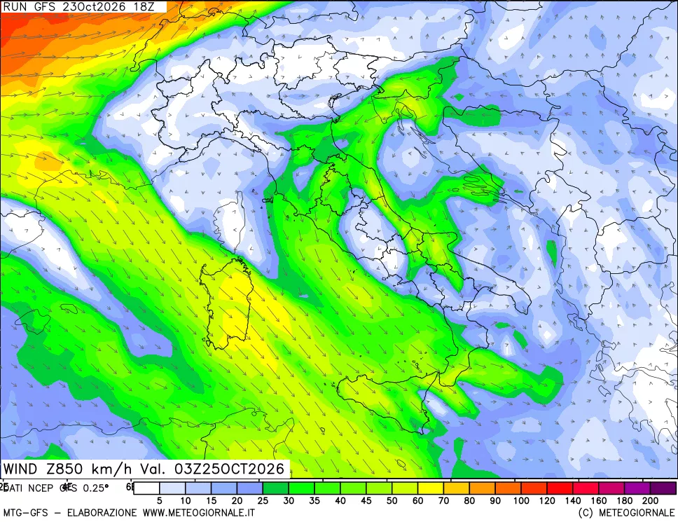 mappa 850 hPa Vento forza e direzione