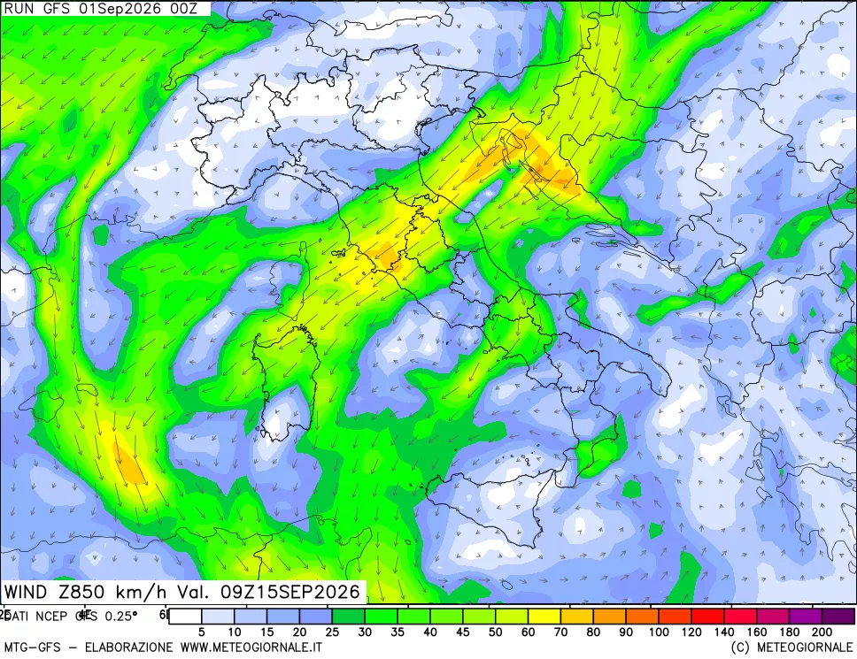 mappa 850 hPa Vento forza e direzione