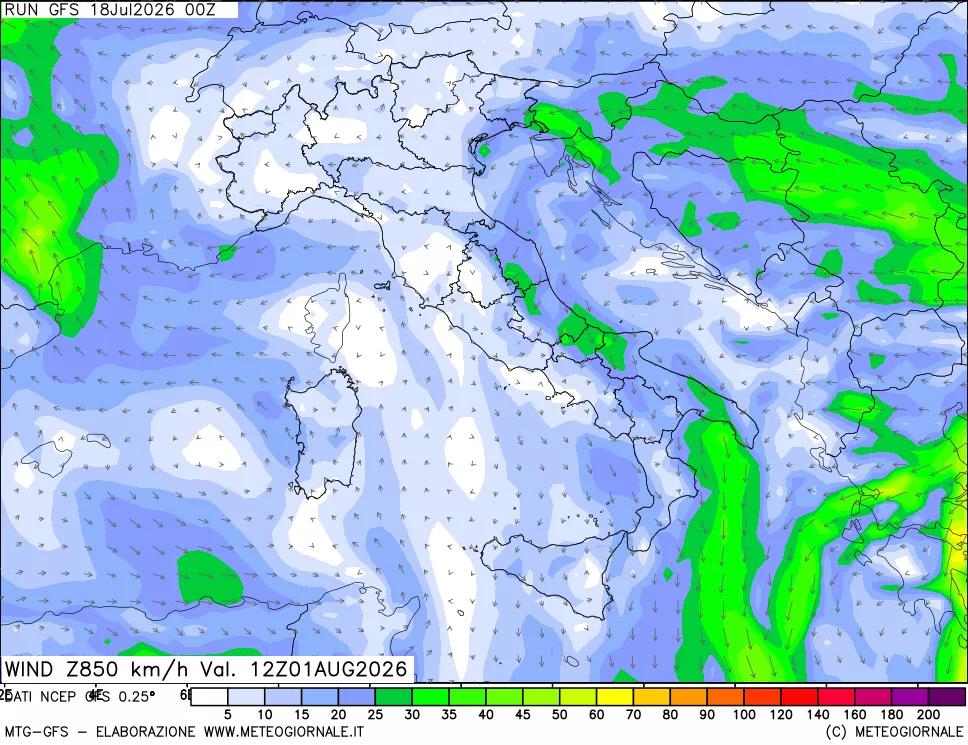mappa 850 hPa Vento forza e direzione
