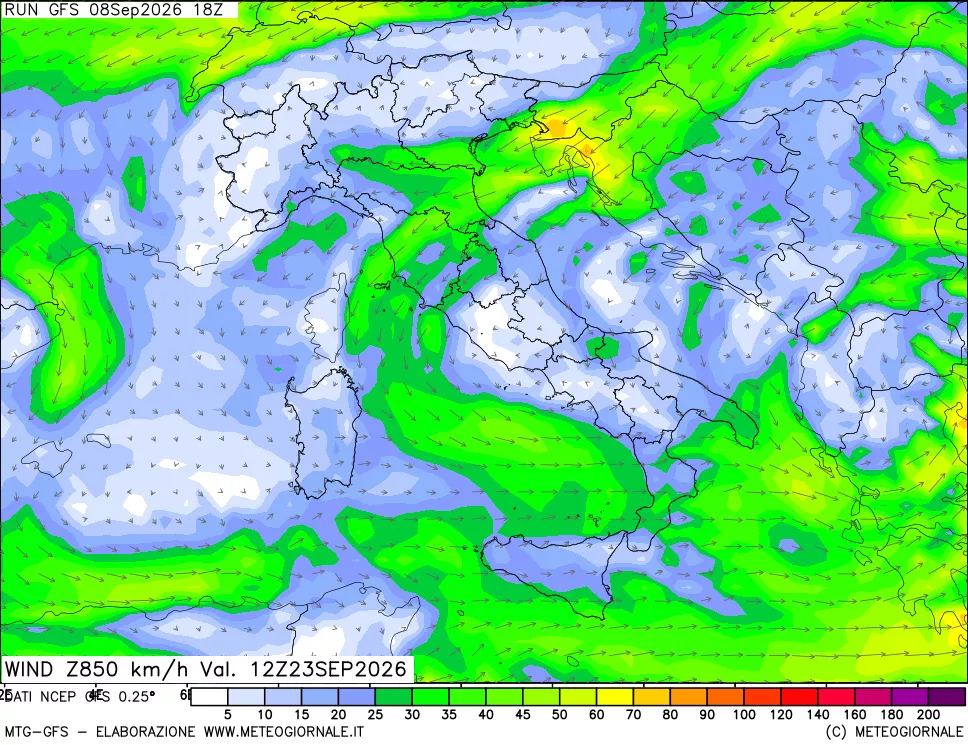 mappa 850 hPa Vento forza e direzione