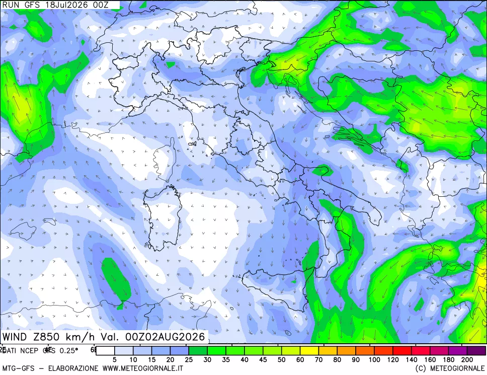 mappa 850 hPa Vento forza e direzione