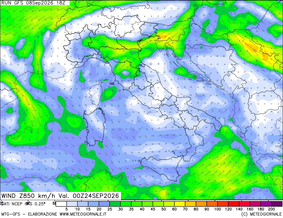 mappa 850 hPa Vento forza e direzione