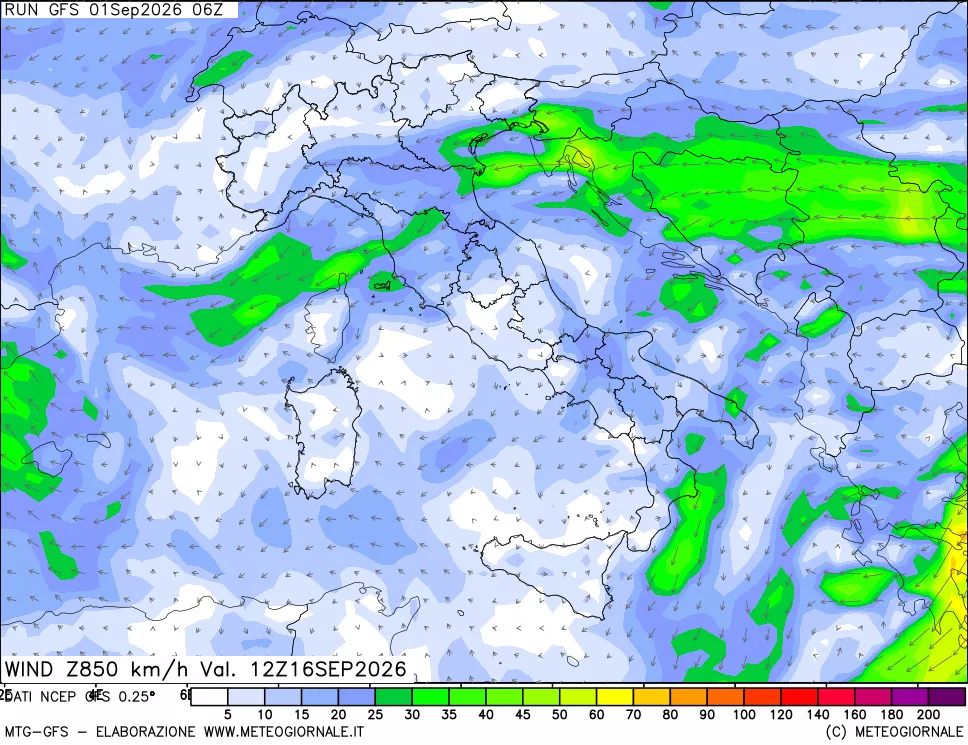 mappa 850 hPa Vento forza e direzione