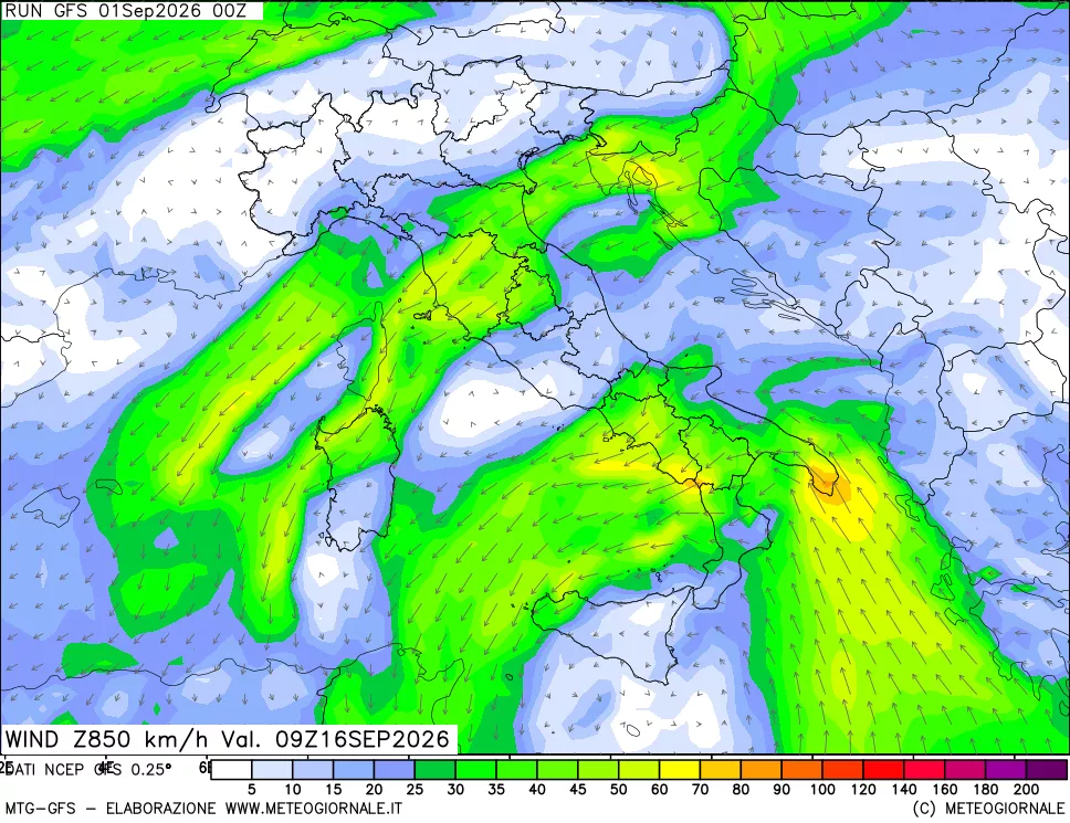 mappa 850 hPa Vento forza e direzione