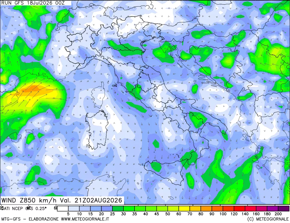 mappa 850 hPa Vento forza e direzione