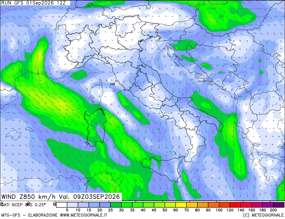 mappa 850 hPa Vento forza e direzione