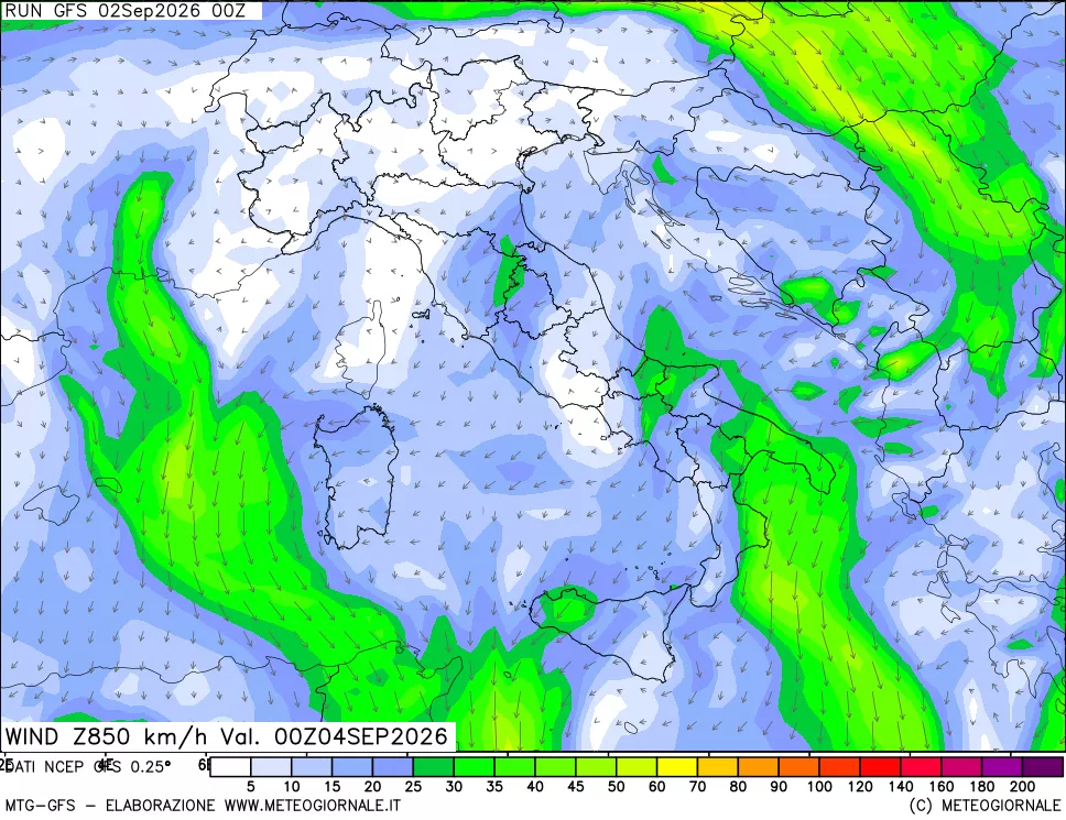 mappa 850 hPa Vento forza e direzione