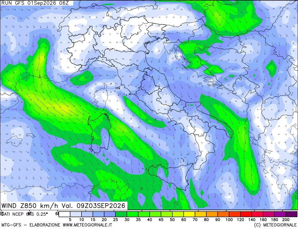 mappa 850 hPa Vento forza e direzione