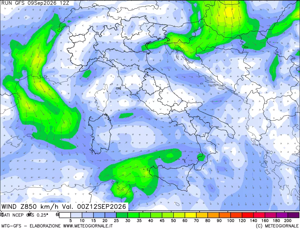 mappa 850 hPa Vento forza e direzione