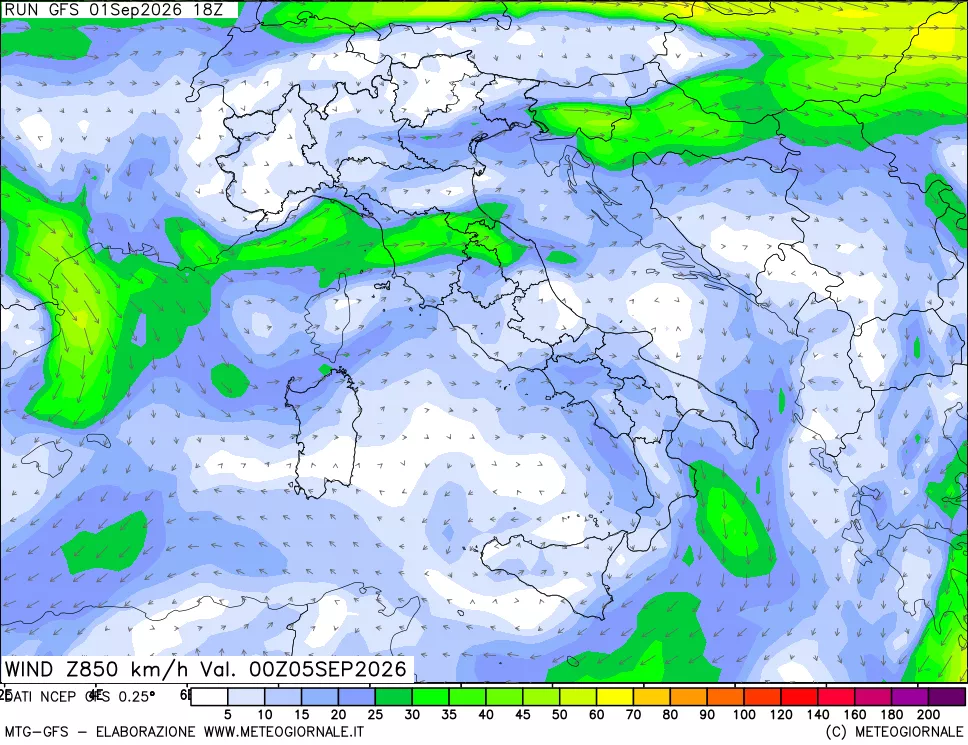 mappa 850 hPa Vento forza e direzione