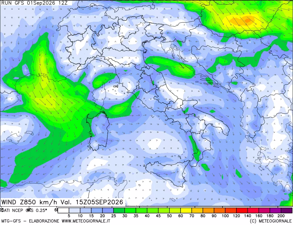 mappa 850 hPa Vento forza e direzione