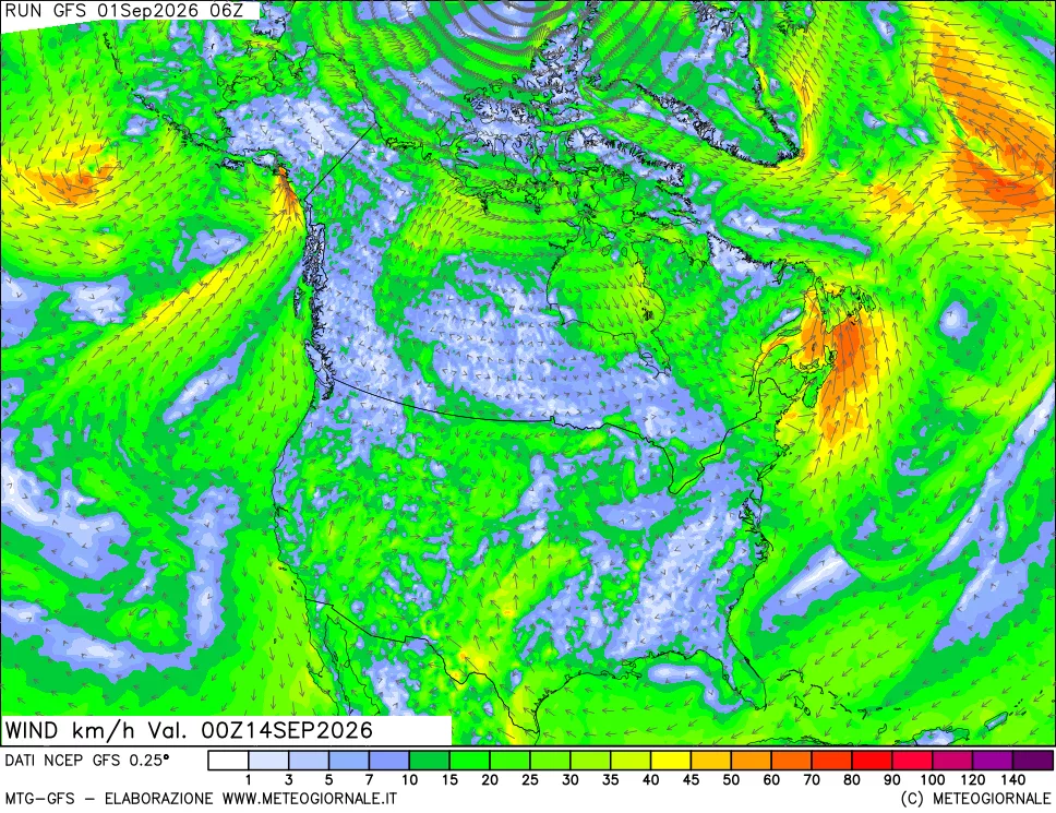 mappa 10 m Vento forza e direzione