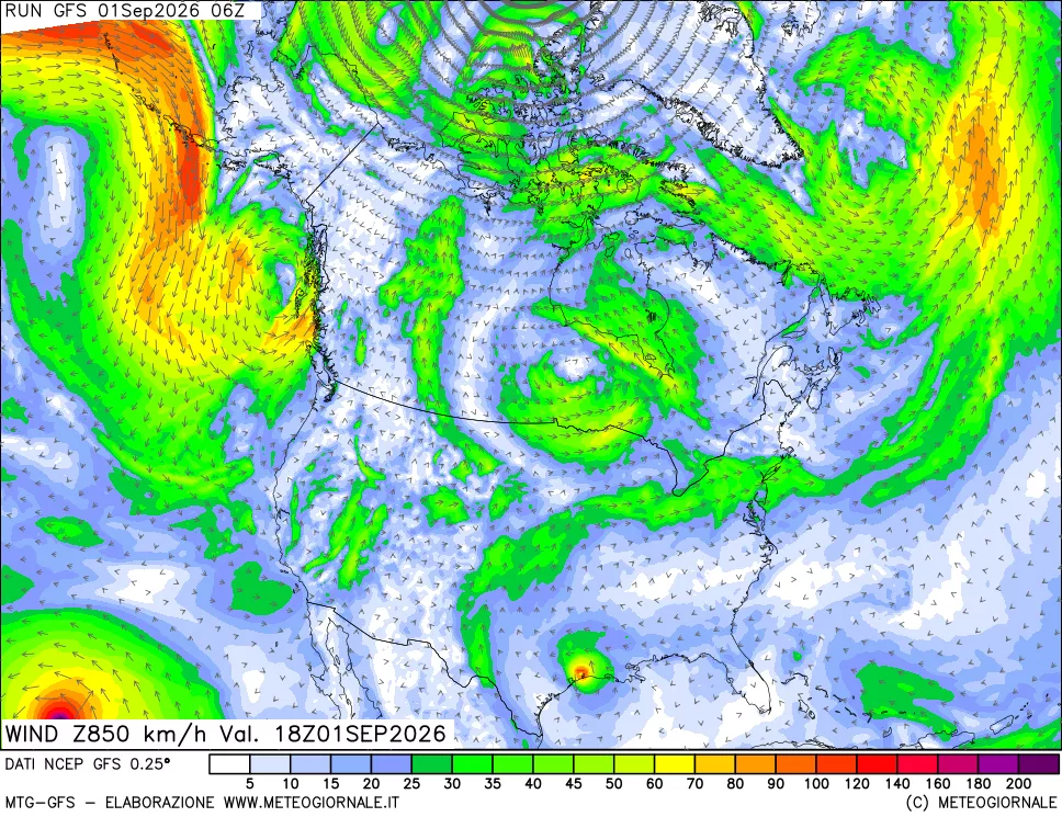 mappa 850 hPa Vento forza e direzione