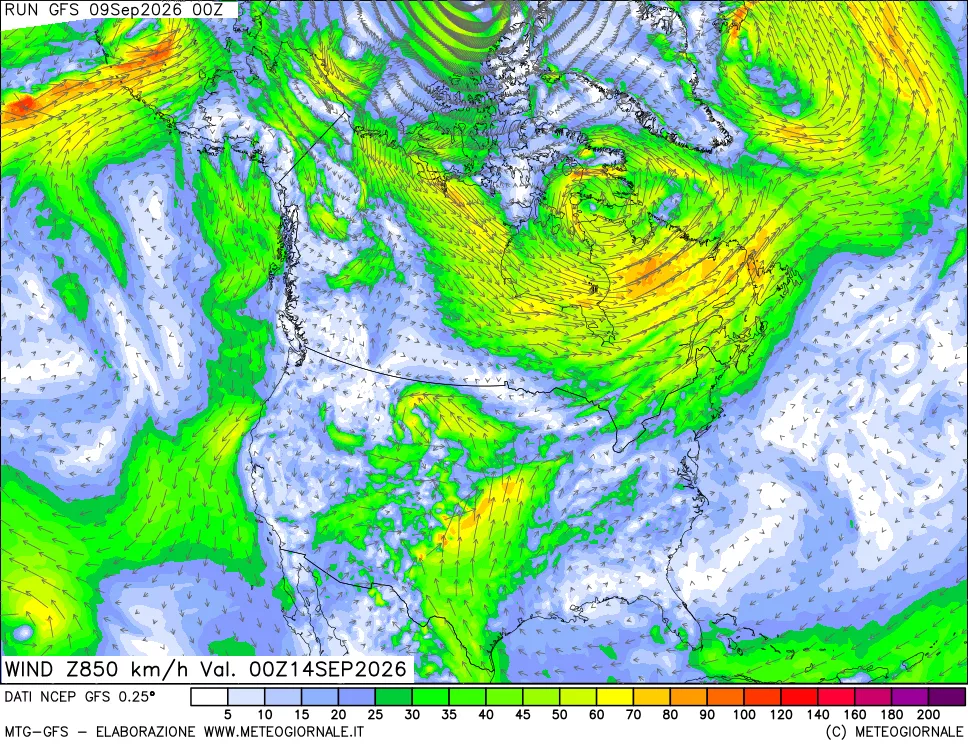 mappa 850 hPa Vento forza e direzione