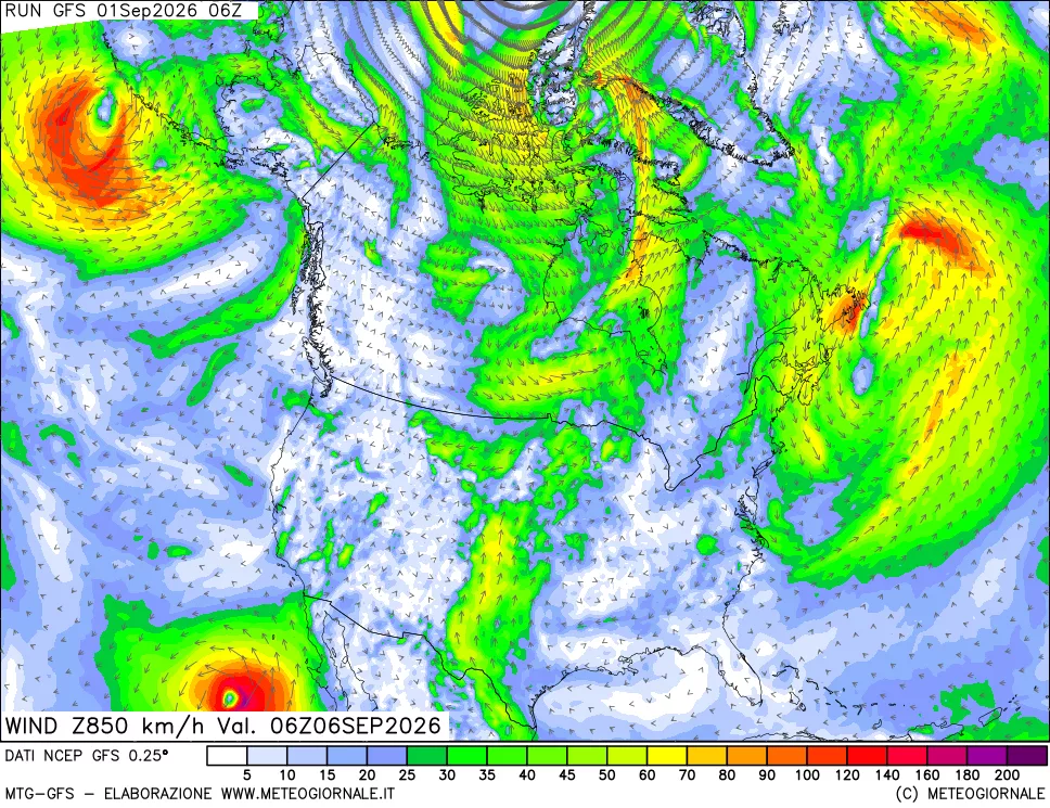 mappa 850 hPa Vento forza e direzione