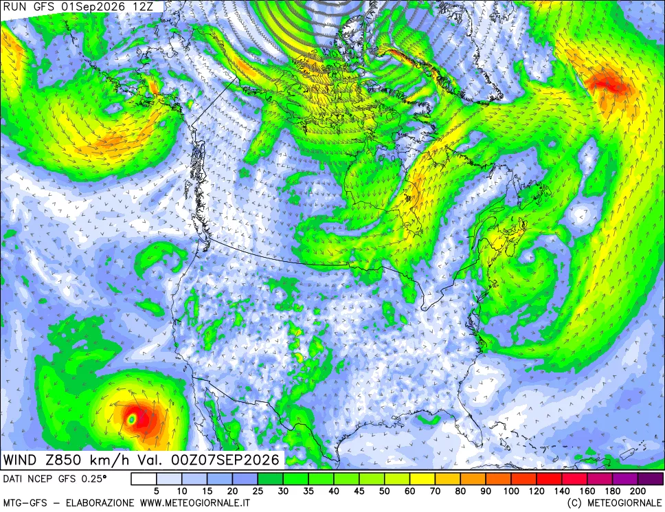 mappa 850 hPa Vento forza e direzione