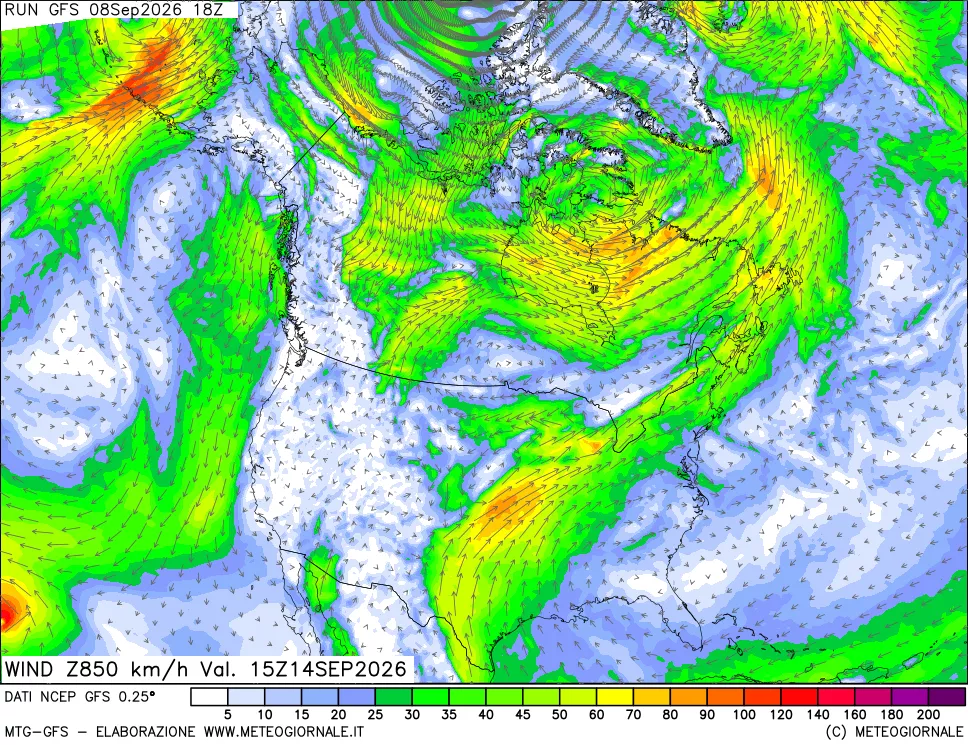 mappa 850 hPa Vento forza e direzione