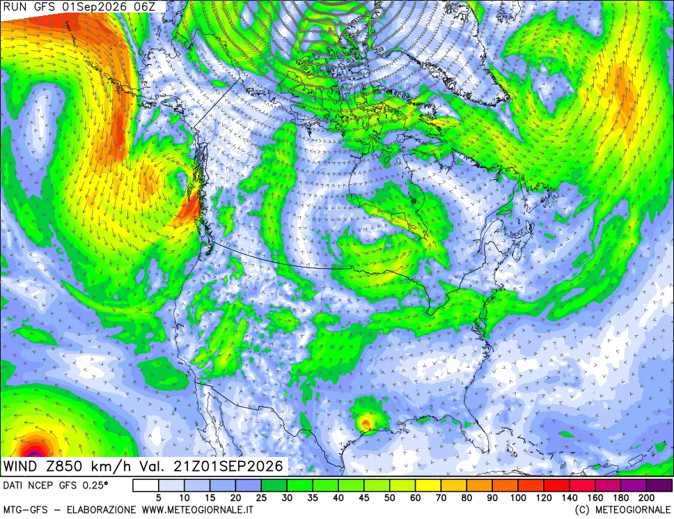 mappa 850 hPa Vento forza e direzione