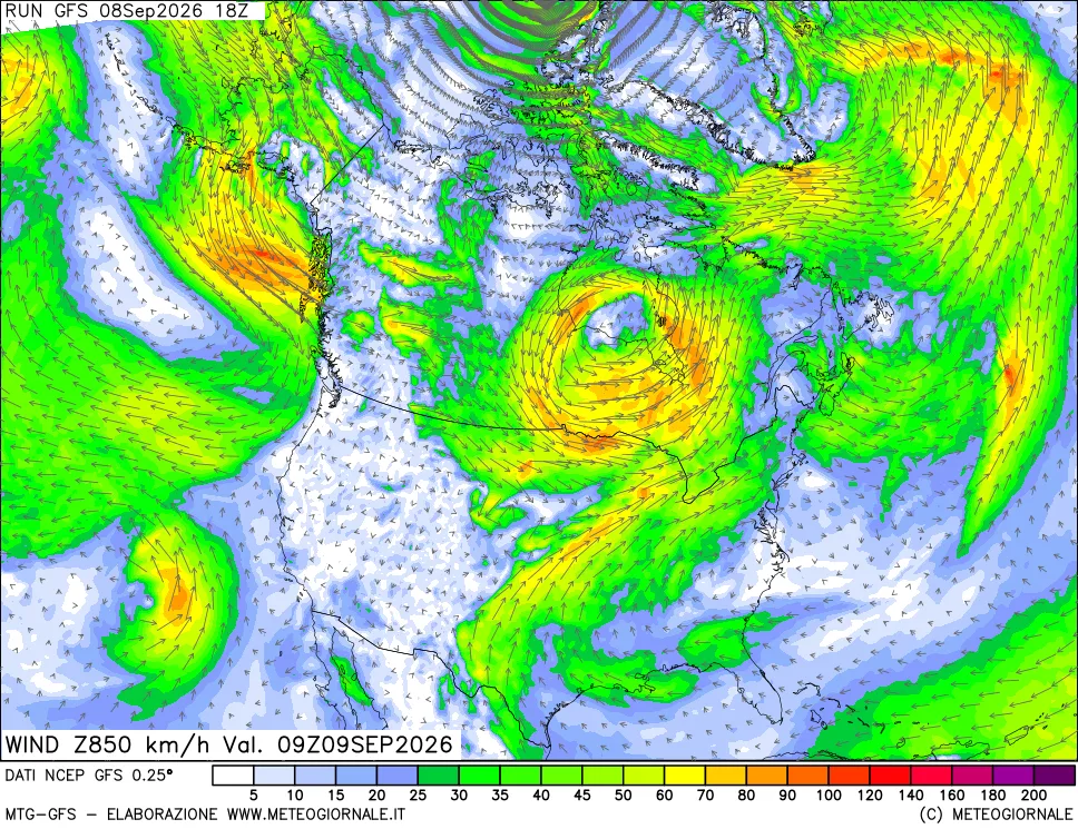 mappa 850 hPa Vento forza e direzione