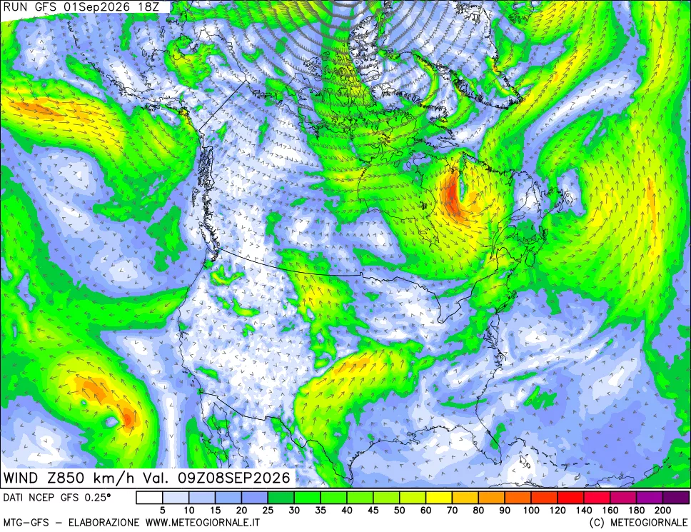 mappa 850 hPa Vento forza e direzione