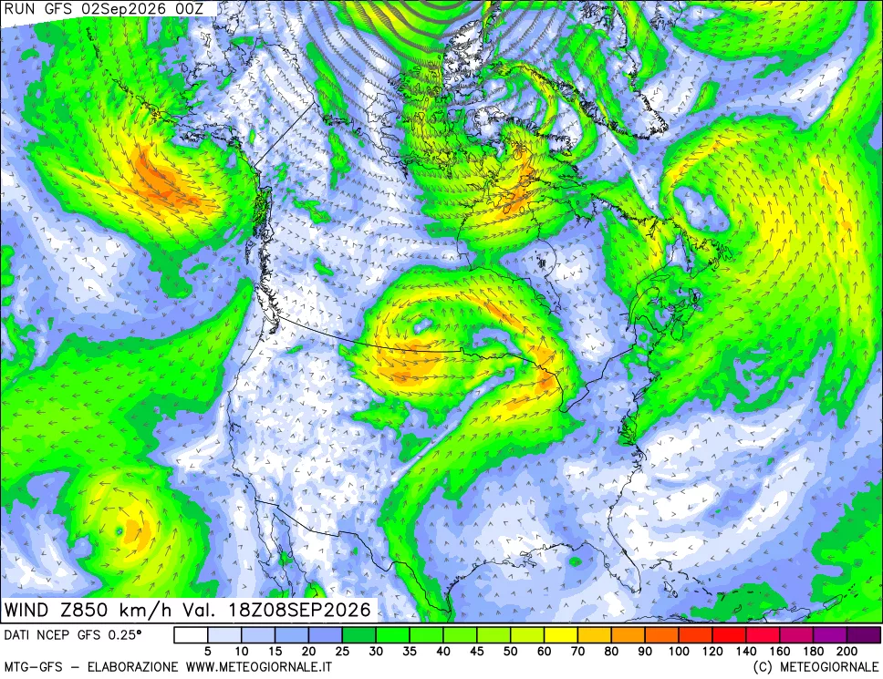 mappa 850 hPa Vento forza e direzione