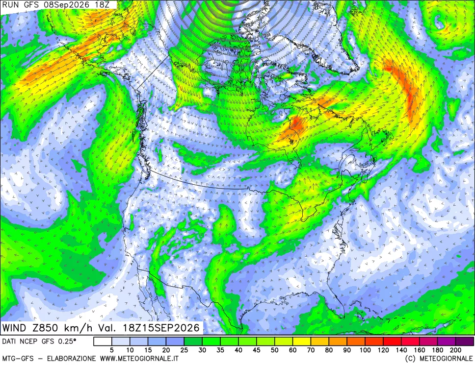mappa 850 hPa Vento forza e direzione