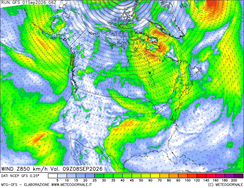 mappa 850 hPa Vento forza e direzione